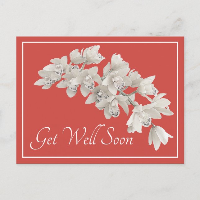 White Orchids Orange Background Get Well Soon Postcard (Front)