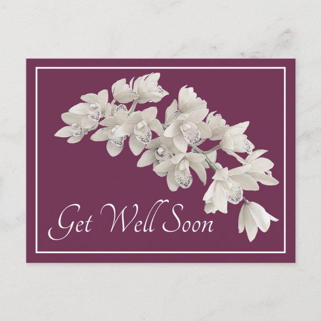 White Orchids Purple Background Get Well Soon Postcard (Front)