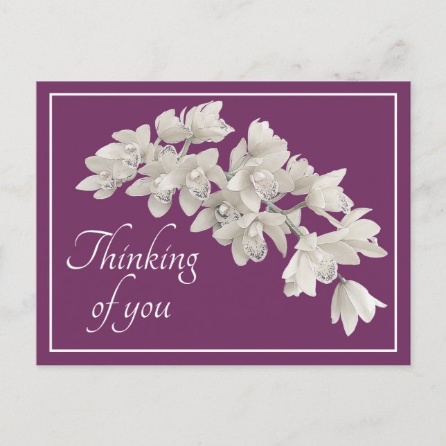 White Orchids Purple Background Thinking of You Postcard (Front)
