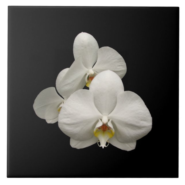 White Orchids Tile (Front)