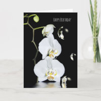 white orchids with bubble reflection birthday
