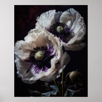 White Oriental Poppy Flowers Art Print Poster