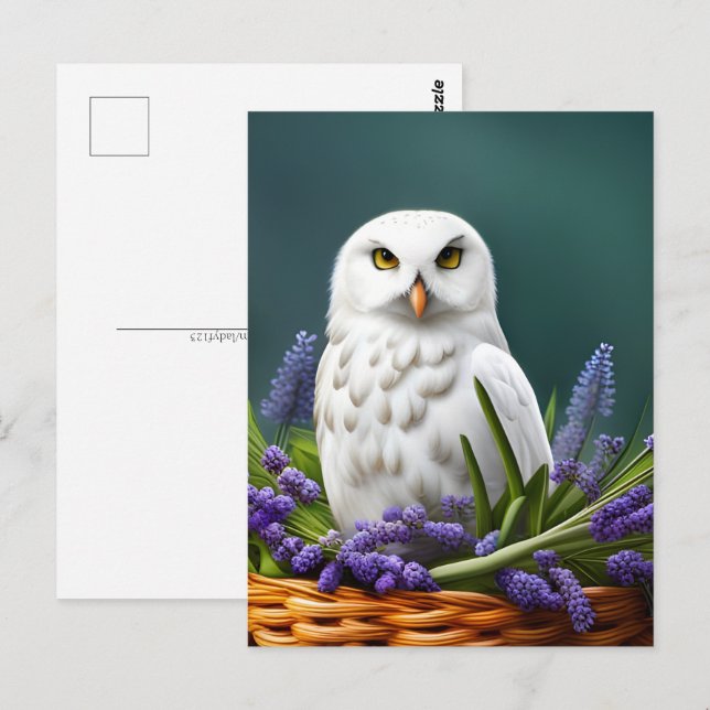 White Owl in Lavender, Postcrossing Postcard (Front/Back)