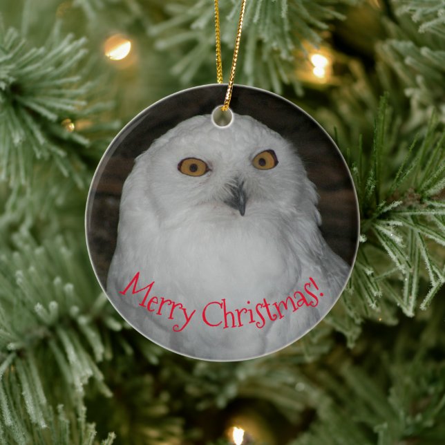 White Owl Photo Christmas Ceramic Ornament (Tree)