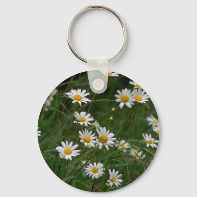 white Oxeye daisy flowers Keychain (Front)