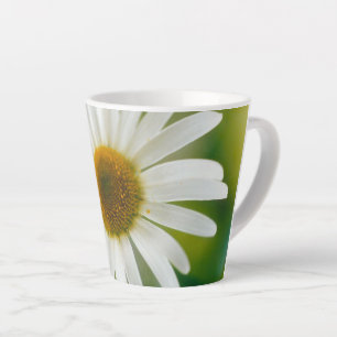 White Oxeye Daisy - Leucanthemum vulgare Latte Mug