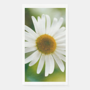 White Oxeye Daisy - Leucanthemum vulgare Napkin