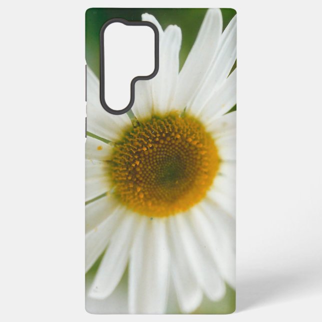 White Oxeye Daisy - Leucanthemum vulgare   Samsung Galaxy S22 Ultra Case (Back)