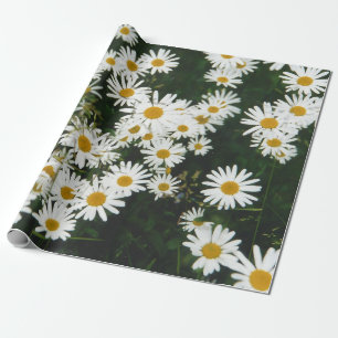 White Oxeye Daisy Meadow Wrapping Paper