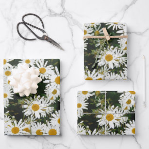 White Oxeye Daisy Meadow Wrapping Paper Sheet