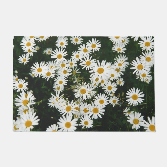 White Oxeye Daisy, Moon Daisy Meadow Doormat (Front)