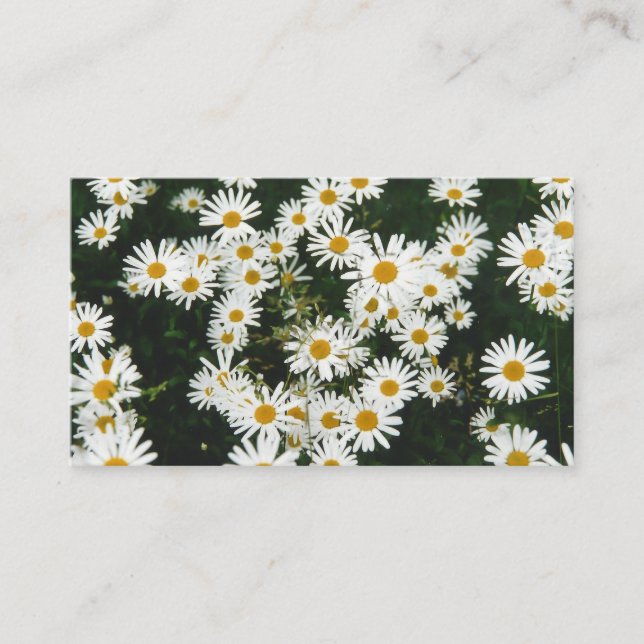 White Oxeye Daisy, Moon Daisy Meadow Enclosure Card (Front)
