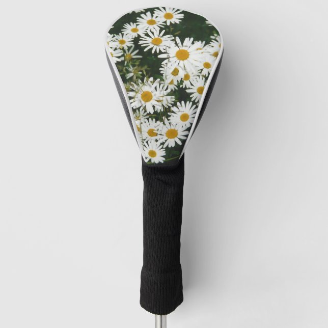 White Oxeye Daisy, Moon Daisy Meadow Golf Head Cover (Front)