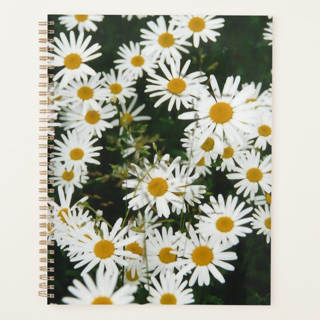 White Oxeye Daisy, Moon Daisy Meadow Planner (Front)