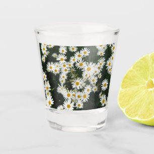 White Oxeye Daisy, Moon Daisy Meadow Shot Glass