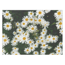 White Oxeye Daisy, Moon Daisy Meadow