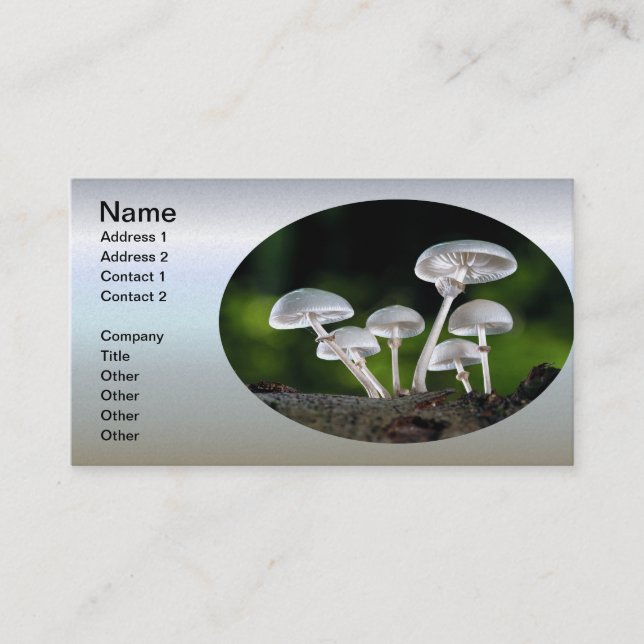 White Oyster Autumn Mushrooms Business Card (Front)