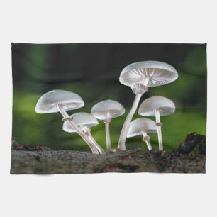 White Oyster Autumn Mushrooms Kitchen Towel