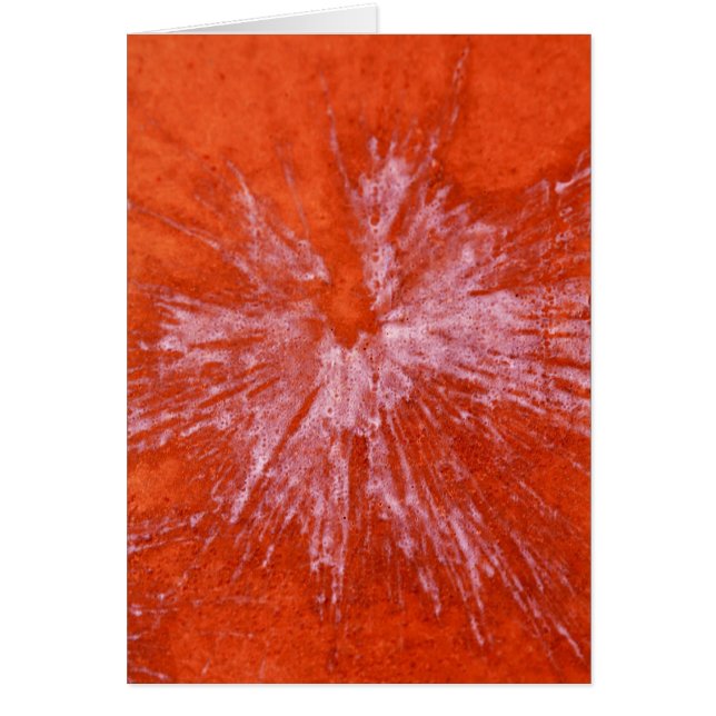 White Paintball on Red (Front)