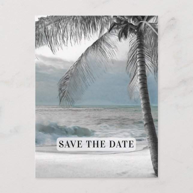 White Palm Coconut Tree Elegant Chic Save the Date Announcement Postcard (Front)