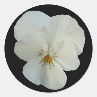 white pansy classic round sticker