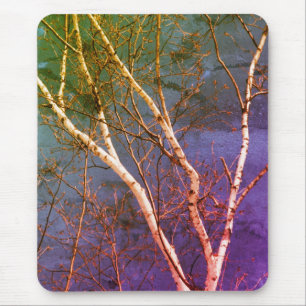White Paper Birch Tree Blue Sky Nature Art Mouse Pad