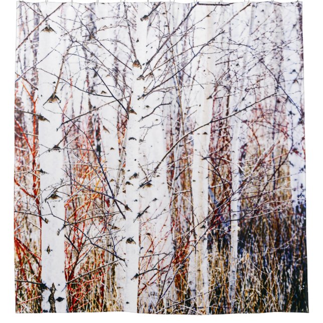 White Paper Birch Trees Forest (Front)