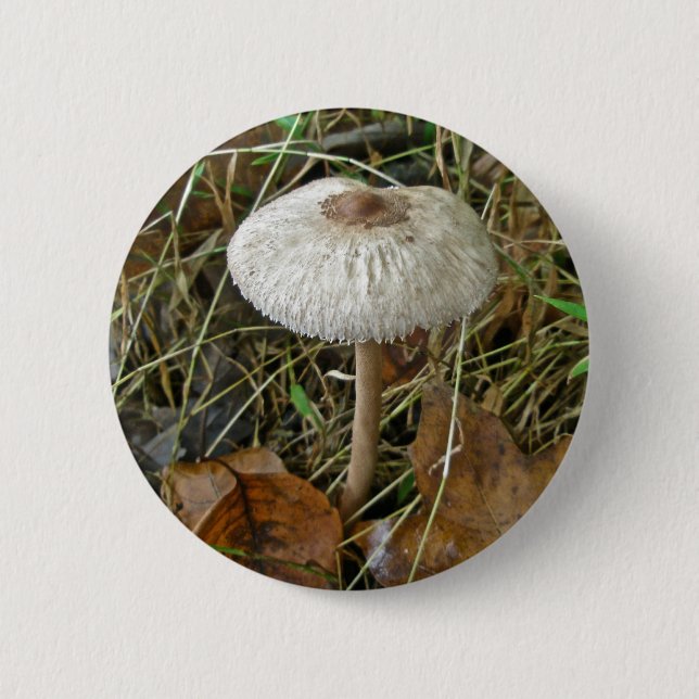 White Parasol Mushroom Coordinating Items 2 Inch Round Button (Front)
