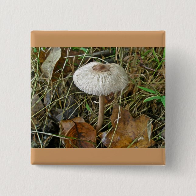 White Parasol Mushroom Coordinating Items 2 Inch Square Button (Front)