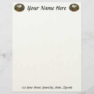 White Parasol Mushroom Letterhead Stationery