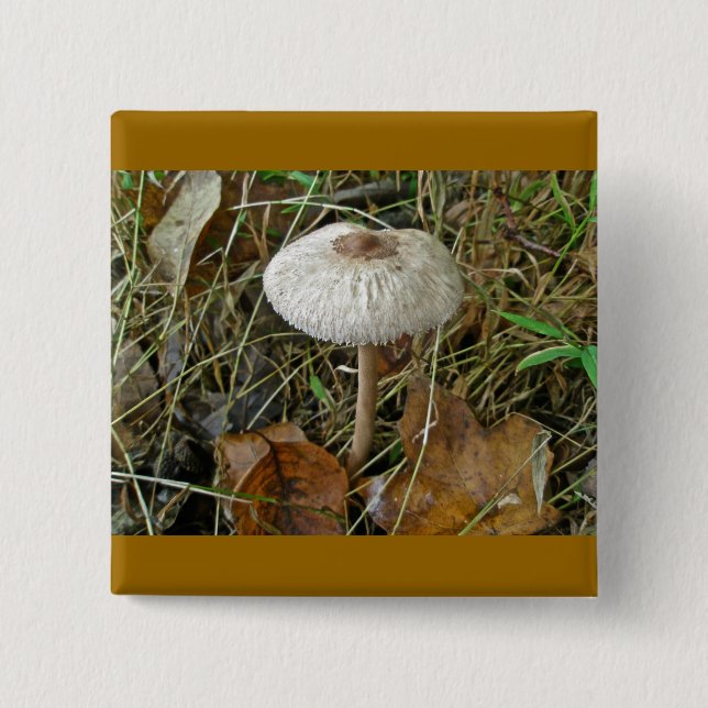 White Parasol Mushroom Magnet 2 Inch Square Button (Front)