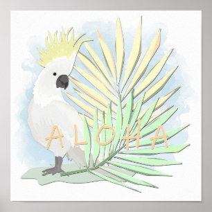 White parrot cockatoo in palm leaves. poster