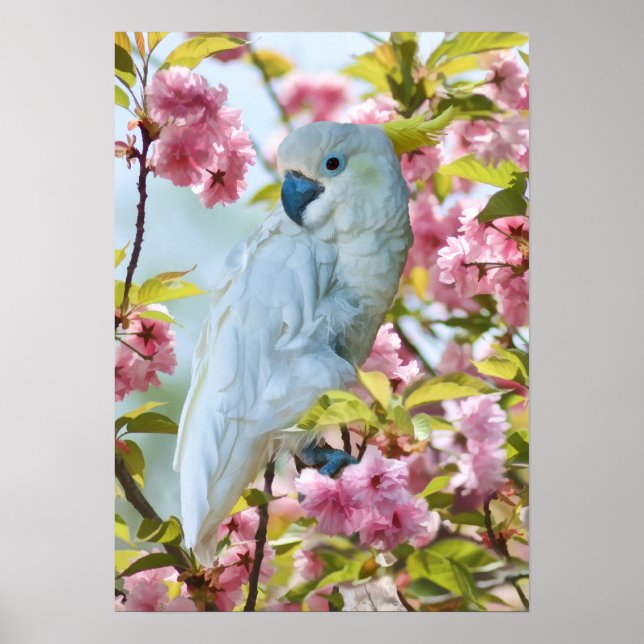White Parrot in Crab Apple Tree Poster (Front)