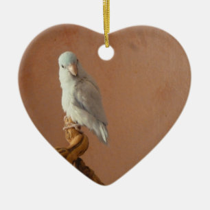 White Parrotlet Ceramic Ornament