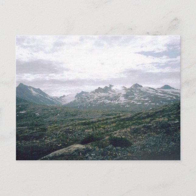 White Pass, Alaska Postcard (Front)