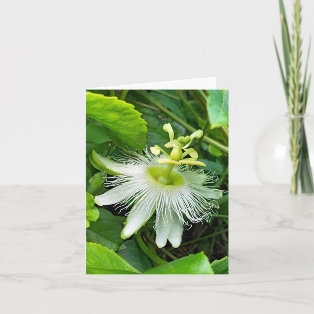 White Passiflora Card (Front)