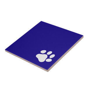 White Paw on Blue Tile