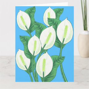 White peace lilies on pale blue background card