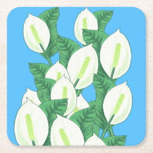 White Peace Lily Illustration Pale Blue Square Paper Coaster
