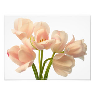 White & Peach Parrot Tulips Background Customized Photo Print