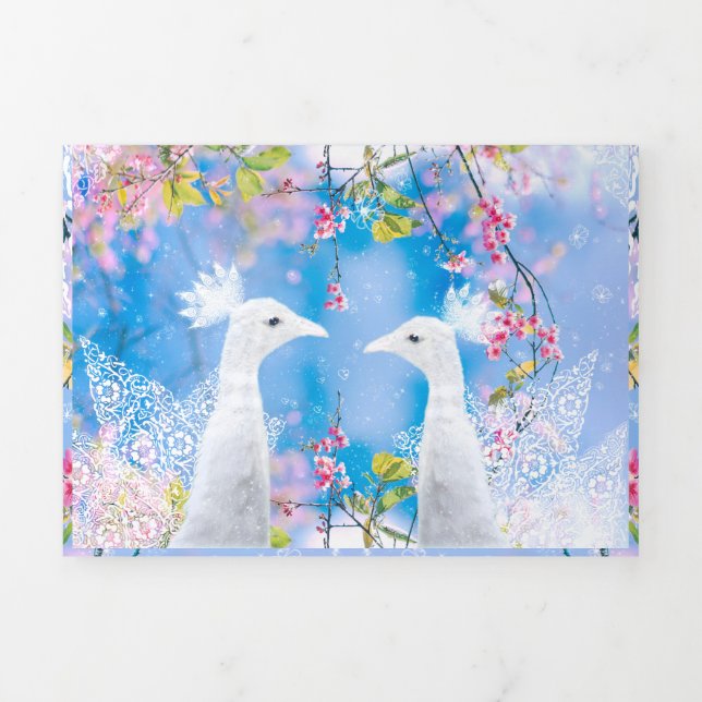 White peacock and blooming sakura / Romantic love Tri-Fold Card (Cover)