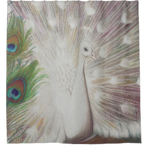 White Peacock and Green Peacock Feather art Print