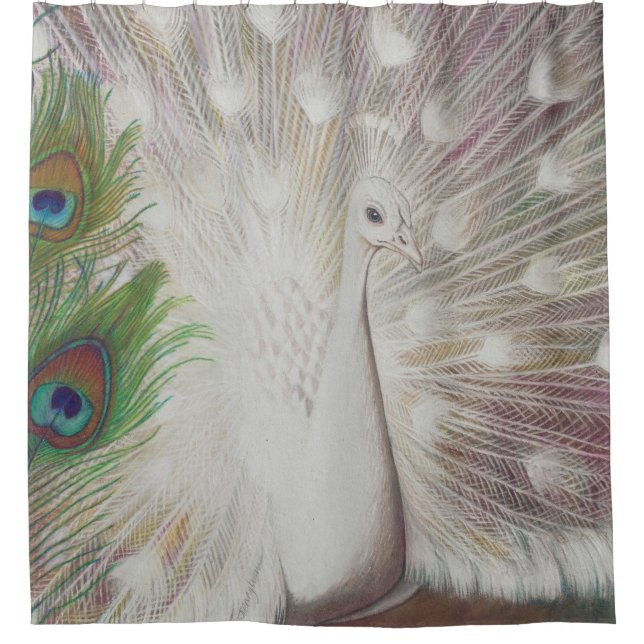 White Peacock and Green Peacock Feather art Print (Front)