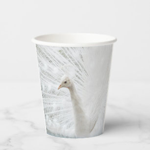 White Peacock beautiful feathers Paper Cups