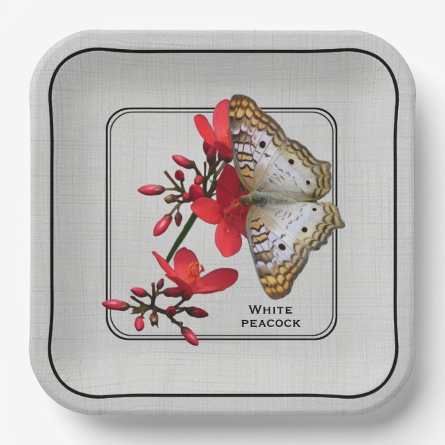 White Peacock Butterfly Close-up Photography Paper Plate (Front)