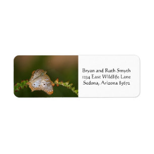 White peacock butterfly on leaves