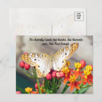White Peacock Butterfly Quote