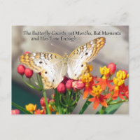White Peacock Butterfly Quote Postcard