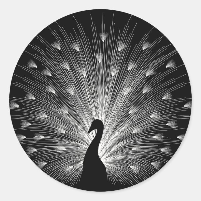 White peacock classic round sticker (Front)