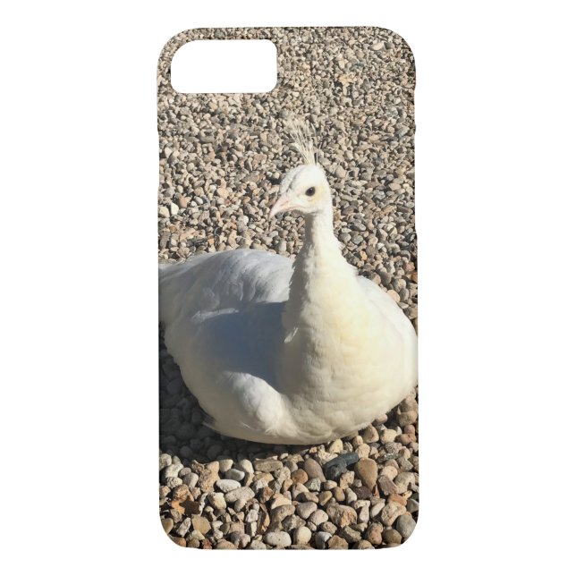White Peacock, Idaho Case-Mate iPhone Case (Back)
